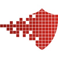NGAnalytics logo - Similar company to Ekialis