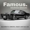 Famous Insurance Brokers logo - Similar company to Macmor Electrical Contractors Pty Ltd