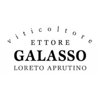 ETTORE GALASSO logo - Similar company to Winetelling