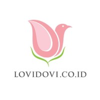 Lovidovi.Co.Id