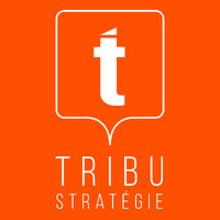 Tribu Stratégie inc. logo - Similar company to Jolifish Inc.