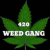 420 WEED GANG® #420WEEDGANG💨(420WEEDGANG.COM™)💻 logo - Similar company to The Cigar Store, Inc.