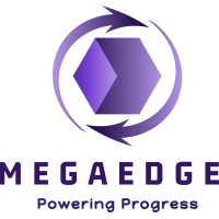 Go Virtual with MegaEdge Group logo - Similar company to Reckoner Global