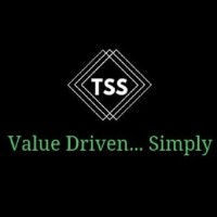 Techinvest Software Solutions logo - Similar company to Itechope