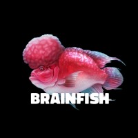 BRAINFISH logo - Similar company to Brainfish Werving & Selectie