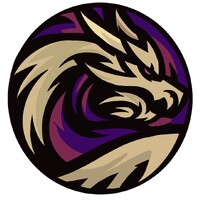 Sunfyre Robotics logo - Similar company to Cymurghs