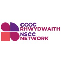 The National Social Care Conference Network logo - Similar company to Practice Solutions