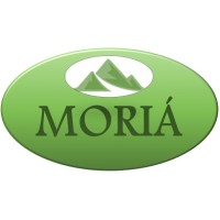 MORIÁ Consultoria Financeira & Empresarial logo - Similar company to Gsult Consultoria Empresarial E Agronegocios
