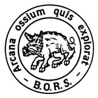 British Orthopaedic Research Society logo - Similar company to Core Scope