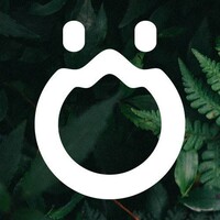 Ornitorinc agence digitale logo - Similar company to Agence Maiya