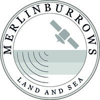 MERLIN BURROWS