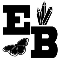 Enchanting Butterfly Llc