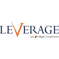 LEVERAGE Information Systems logo - Similar company to Techlinq