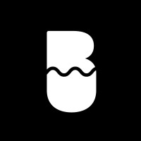 Brain Upgraded logo - Similar company to Easeflow