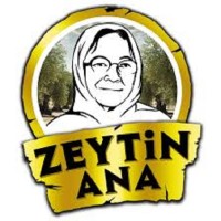Zeytin Ana logo - Similar company to Bt Denetim