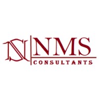 NMS Consultants logo - Similar company to Integro Group