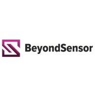 BeyondSensor logo - Similar company to Developer Resume Review
