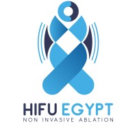 HIFU EGYPT logo - Similar company to Steward