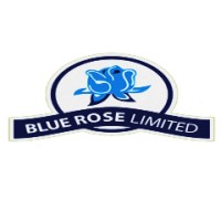 Blue Rose Limited logo - Similar company to Global-Sibe Consult