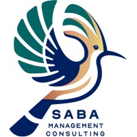 Saba Management Consulting Group logo - Similar company to Namexon