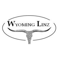 Wyoming Linz logo - Similar company to Mathfab Llc