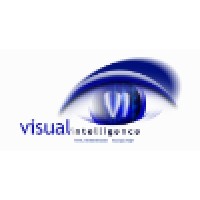 Visual Intelligence, Llc