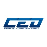 The CEO Group logo - Similar company to Midnight Digital