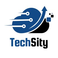 Techsity logo - Similar company to Techsity