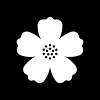 Cinema Verde logo - Similar company to Virtual Infotech Solution