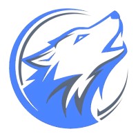 Nester Solutions logo - Similar company to Webmyze