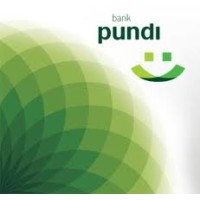 Pt Bank Pundi Indonesia Tbk