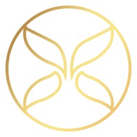 Kaleidoscope Consultants logo - Similar company to Major Motion Marketing