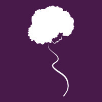 Black Mamas Matter Alliance, Inc. (BMMA) logo - Similar company to Apha Black Caucus Of Health Workers