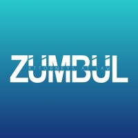 Zumbul Attorneys-at-Law logo - Similar company to Paldimoglu Law Firm Turkey