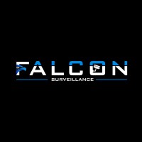 Falcon Surveillance logo - Similar company to Satmec