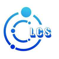LARA CONSULTANCY SERVICES logo - Similar company to Anees Llc