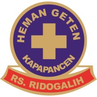 RS RIDOGALIH logo - Similar company to Technaut Education