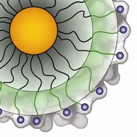 Rotello Lab logo - Similar company to Cryptocompli