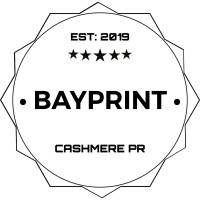 BAYPRINT NI logo - Similar company to Savvy Solutions Lab