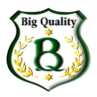 Big Quality logo - Similar company to Maquinalista