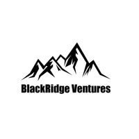 BlackRidge Ventures logo - Similar company to Inspired Capital