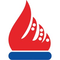 NAPTA Corporation logo - Similar company to Namaad Iran Co.