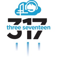 317 Virtual Services, LLC