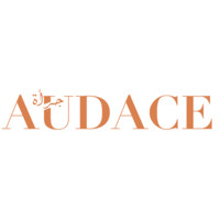 Initiative AUDACE logo - Similar company to Impliv Business