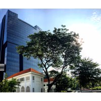 Lee Kong Chian School Of Medicine (Ntu & Imperial College London)