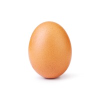 Egg Gang logo - Similar company to Milk Design Studio