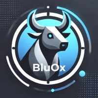 BluOx Enterprises, Inc. logo - Similar company to Tenthly