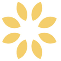 FlyWheel logo - Similar company to Ringg Ai