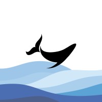 Black Whale logo - Similar company to Black Bug Llp