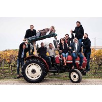 BORDEAUX VIGNERONS logo - Similar company to Vignobles Robin